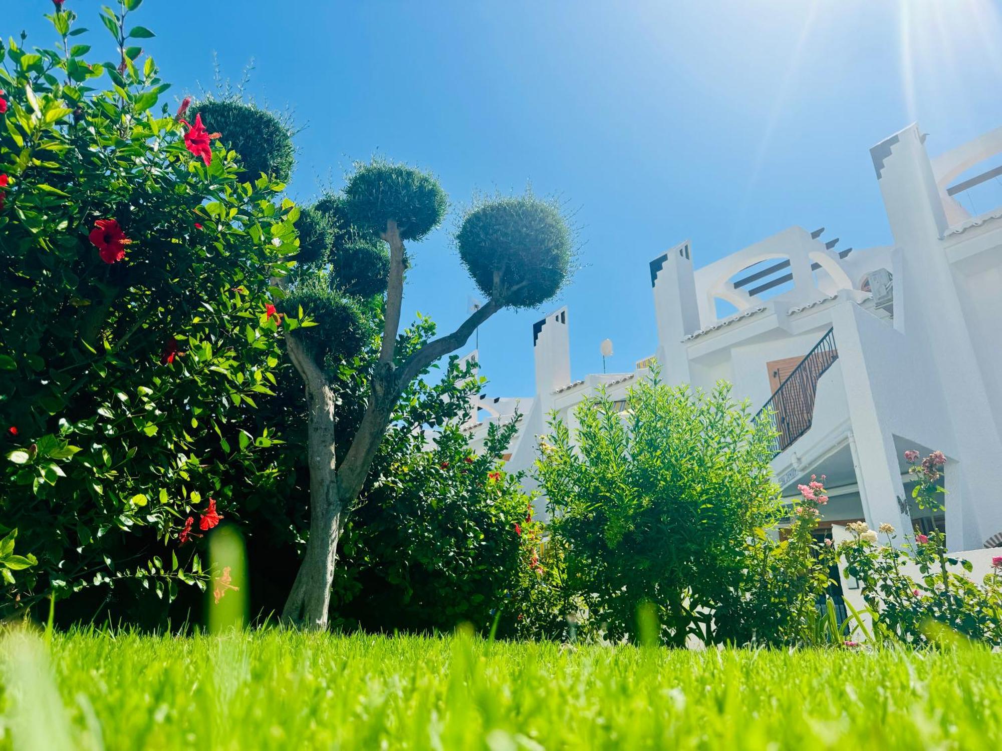 Villa Contemporary House In Cabo Roig Oriola  Exterior foto